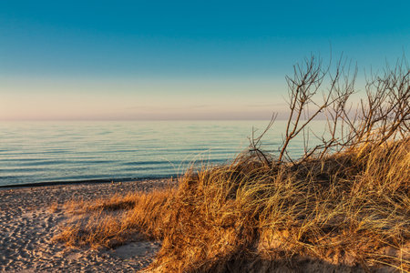Evening on shore of the Baltic Sea 