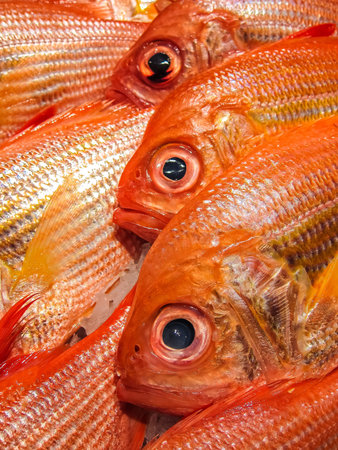 Fresh fish in a fish market 