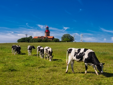 The lighthouse of Bastorf  Germany  の写真素材