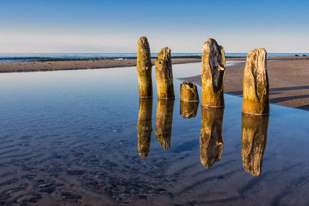 Groynes on shore of the Baltic Sea 