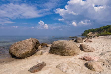 Foundlings on shore of the Baltic Sea の写真素材
