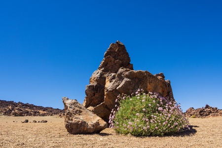Landscape on the island Tenerife の写真素材