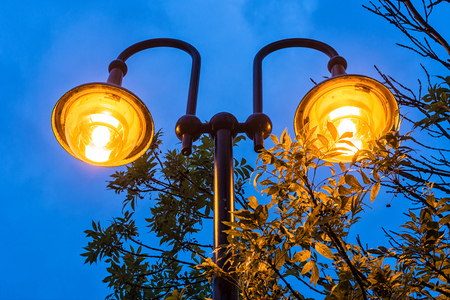 A lantern in the evening の写真素材
