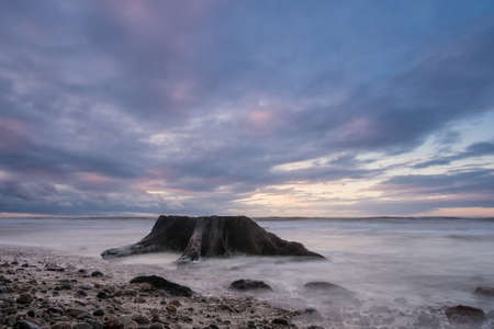 On shore of the Baltic Sea の写真素材