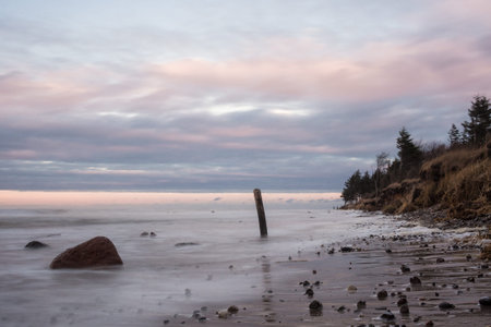 On shore of the Baltic Sea 