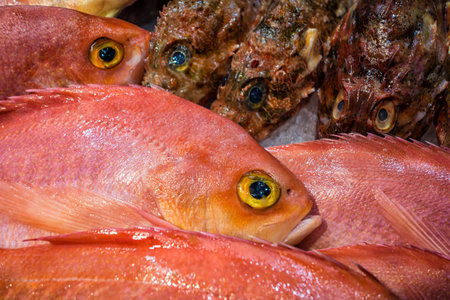 Fresh fish on a market 