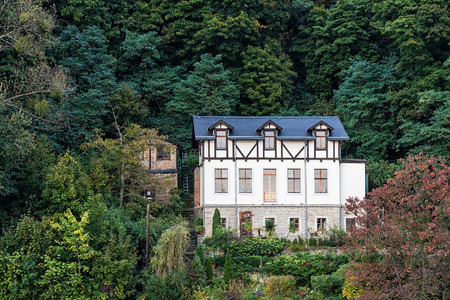 Building with trees near Dresden (Germany).のeditorial素材