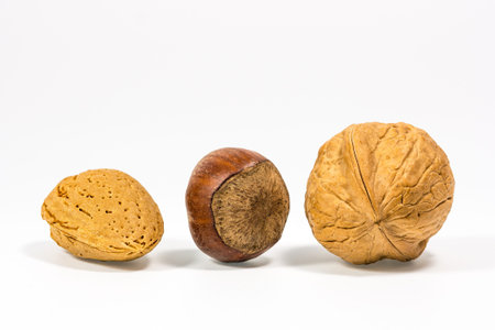 Three nuts with white background.