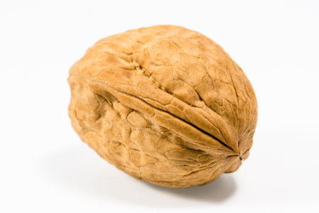A walnut with white background.の写真素材