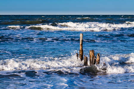 Groynes on shore of the Baltic Sea.の写真素材