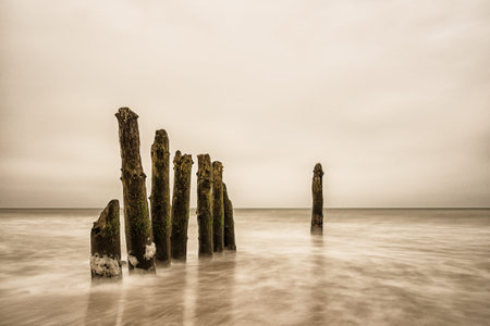 Groynes on shore of the Baltic Sea.の写真素材