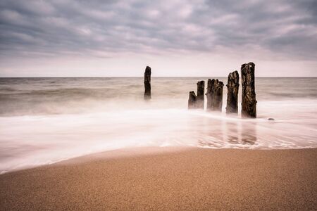 Groynes on shore of the Baltic Sea in the evening.の写真素材