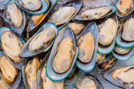 Fresh mussels on a market.の写真素材
