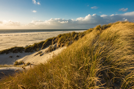 Dunes on the North Sea coast on the island Amrum, Germany.の写真素材