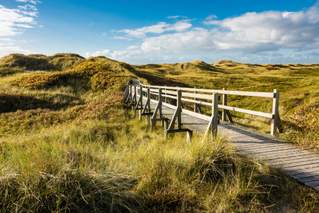 Dunes on the North Sea coast on the island Amrum, Germany.の写真素材