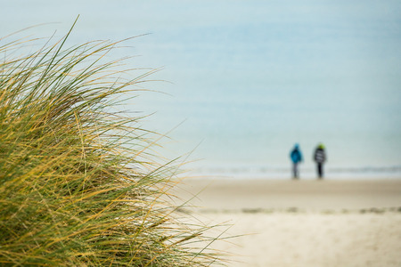 Dunes on the North Sea coast on the island Amrum, Germany.の写真素材