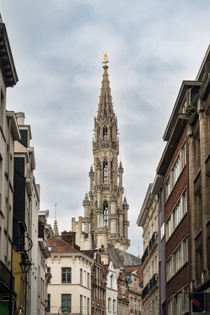 Historical buildings in the city Brussels, Belgium.の写真素材