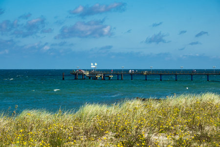 Beach on shore of the Baltic Sea.