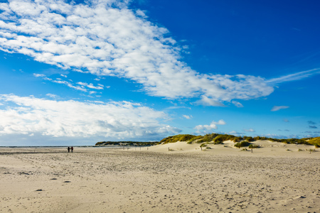 Dunes on the North Sea island Amrum, Germany.の写真素材