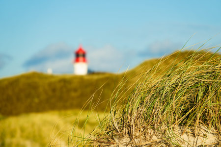 Lighthouse on the North Sea island Amrum, Germany.