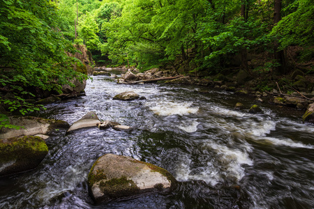 Landscape with river Bode in the Harz area, Germany.の写真素材