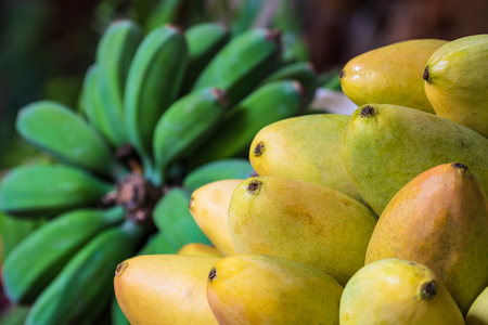 Fruits on a market in Funchal on the island Madeira, Portugal.の写真素材