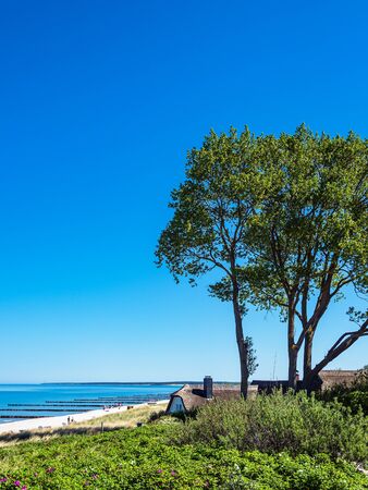 Tree and building on shore of the Baltic Sea.の写真素材