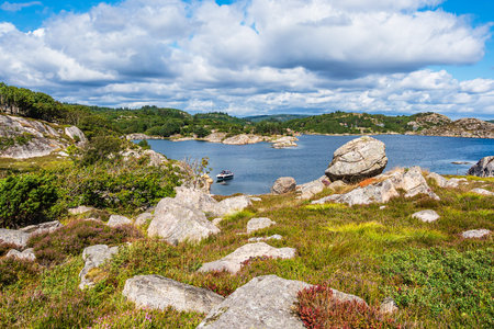 Landscape on the archipelago island SkjernÃ¸ya in Norway.