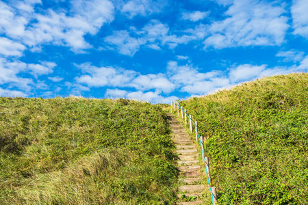 Staircase in the dunes near Hirtshals in Denmark.の写真素材