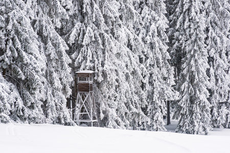 Landscape in winter time in the Thuringian Forest near Schmiedefeld am Rennsteig, Germany.の写真素材