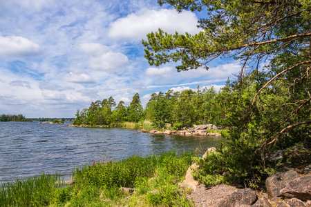 Landscape with rocks and trees near Figeholm in Sweden.の写真素材
