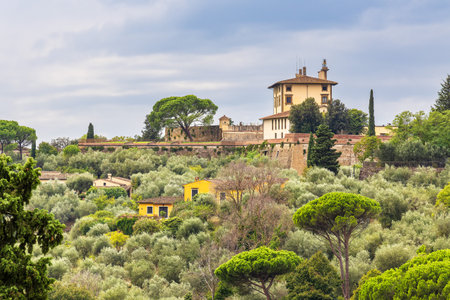 View to trees and buildings in Florence, Italy.の写真素材