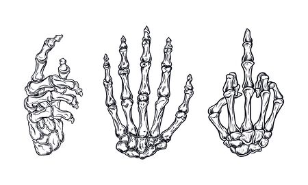 hand bone set vector illustration, editable and detailedのイラスト素材