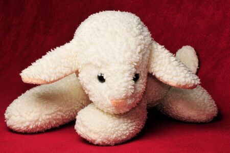 stuffed animal sheepの写真素材