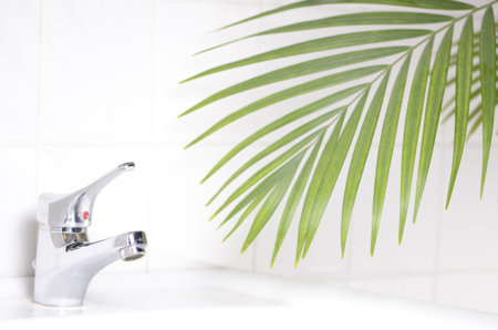 water tap and palm tree