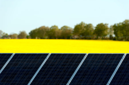 Solar panels in a rapeseed field