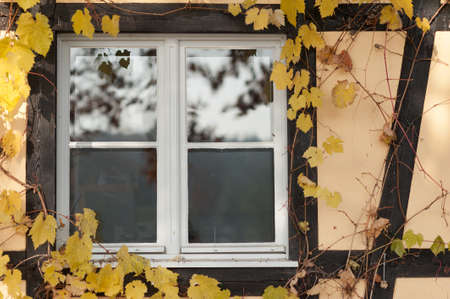 Windowの写真素材