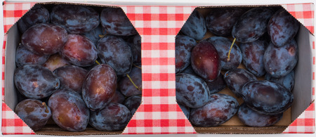 Basket with plumsの写真素材