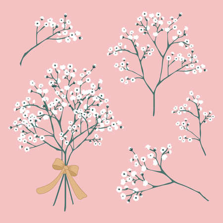 Vector Baby's Breath Flowers tied with ribbonのイラスト素材