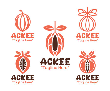 A collection of 5 ackee  set tropical fruit branding  collection suitable for branding, packaging, and identity projects.のイラスト素材