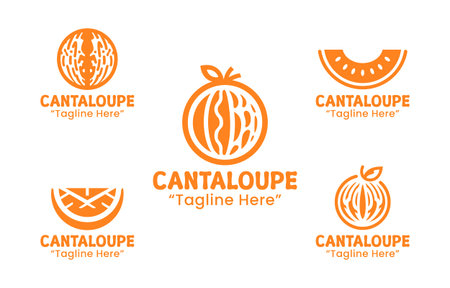 A collection of 5 cantaloupe  set fresh tropical fruit branding collection suitable for branding, packaging, and identity projects.のイラスト素材