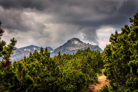 The road to the summit at Prin mountain in Bulgaria.