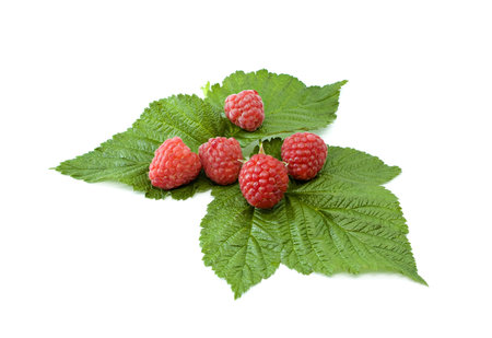 raspberries on a leafs