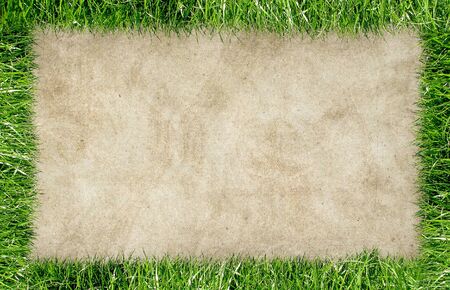 Frame from grass and old paper backgroundの写真素材