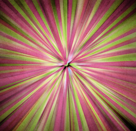 Grunge colored abstractionの写真素材