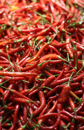 Red pepper backgroundの写真素材