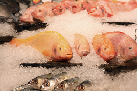 Frozen fish