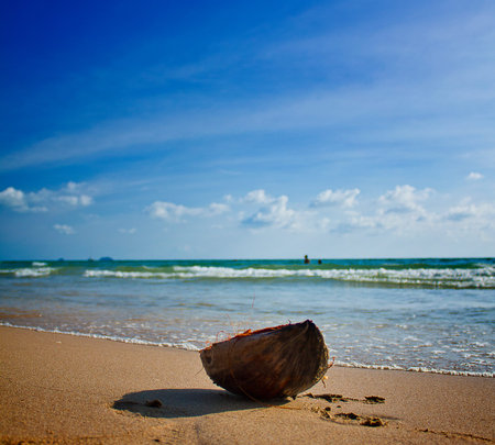 Coconut on the sea background
