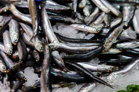 photography of raw fish in marketplaceの写真素材