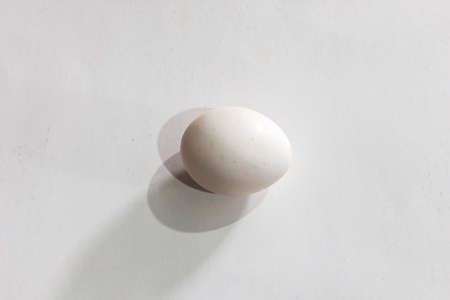 white egg isolated on whiteの写真素材
